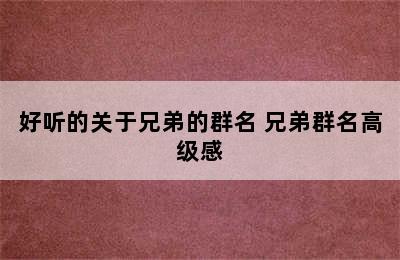 好听的关于兄弟的群名 兄弟群名高级感